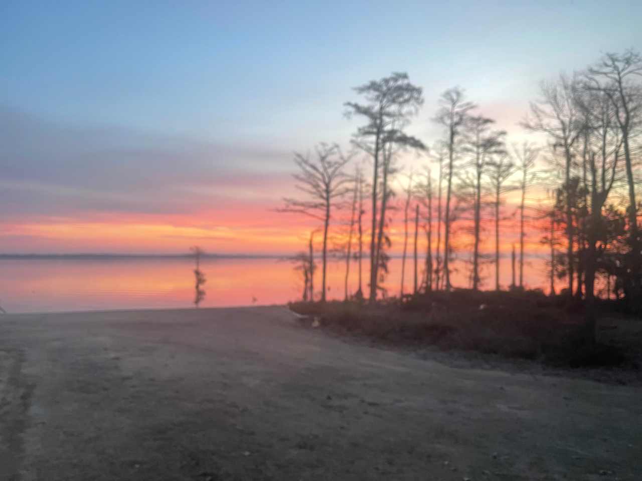Proctor Point