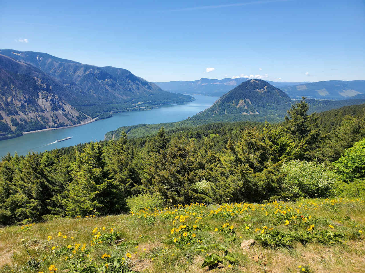 Dog Mountain RV Park & Lodge