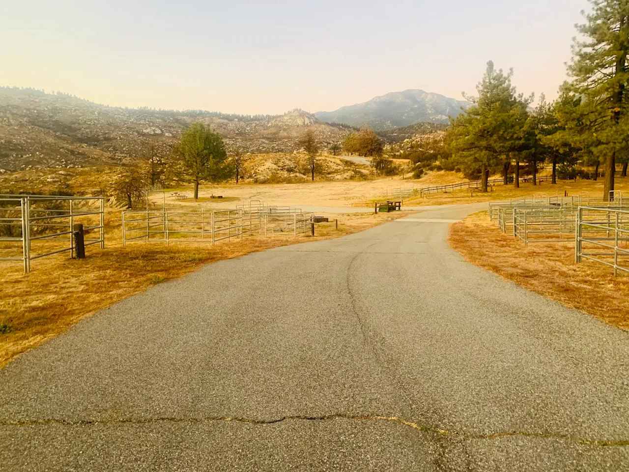 McCall Equestrian Park