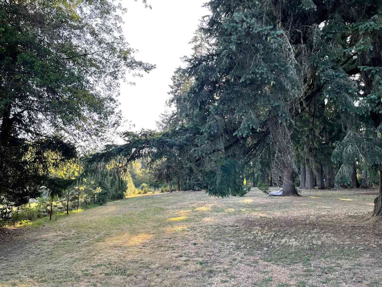GnomeWood Campground