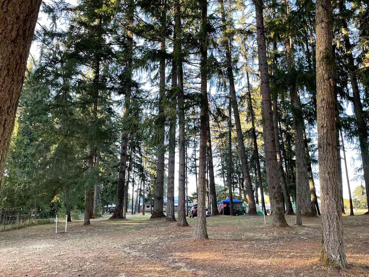 GnomeWood Campground