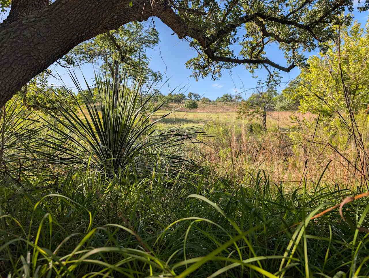 3 Dry Wells Ranch