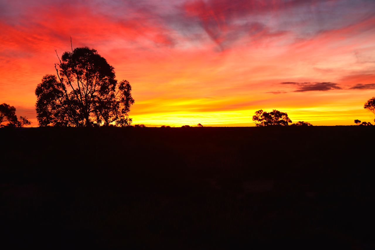 Sunset at the Station