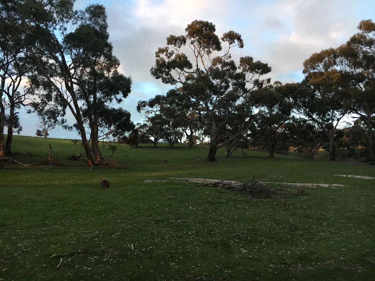 the caravan paddock