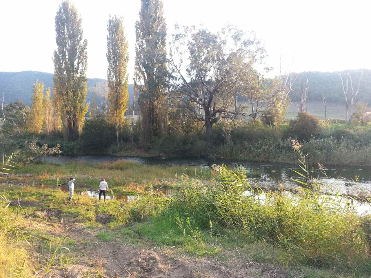 Mitta river running low