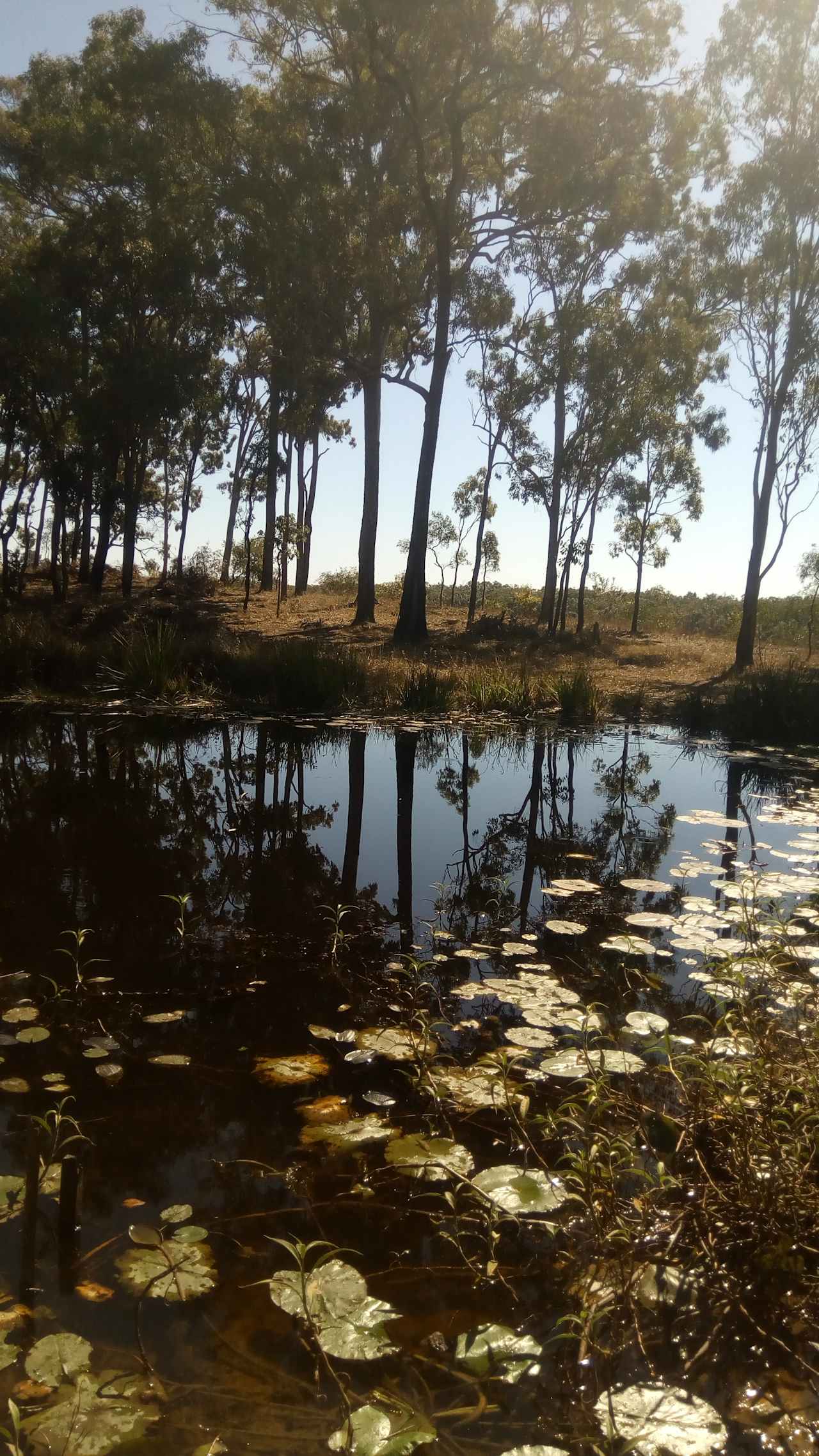 Mary River Bush Camp