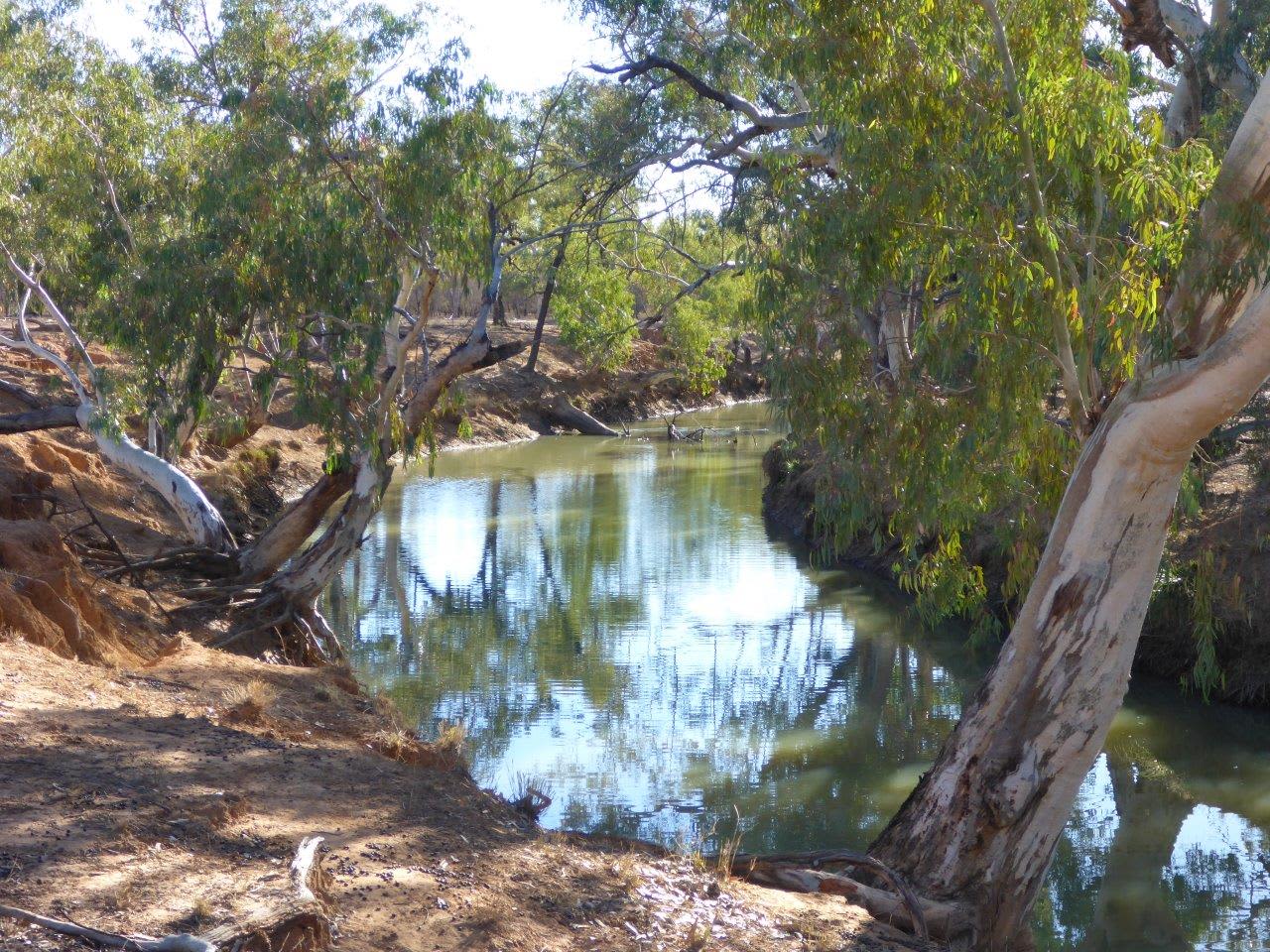 Wallum Creek at One Mile