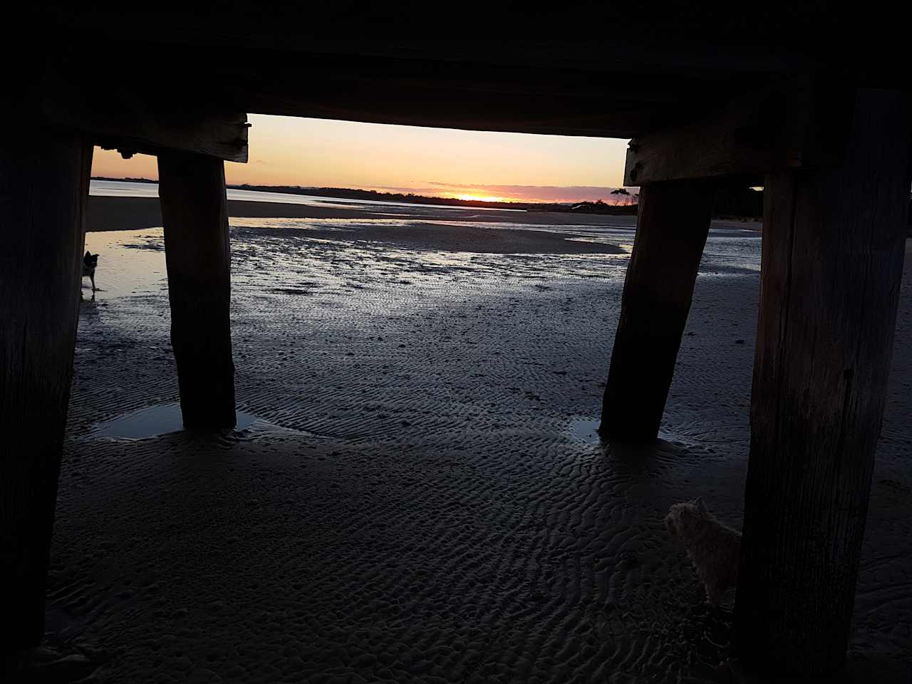 The long jetty Port Welshpool