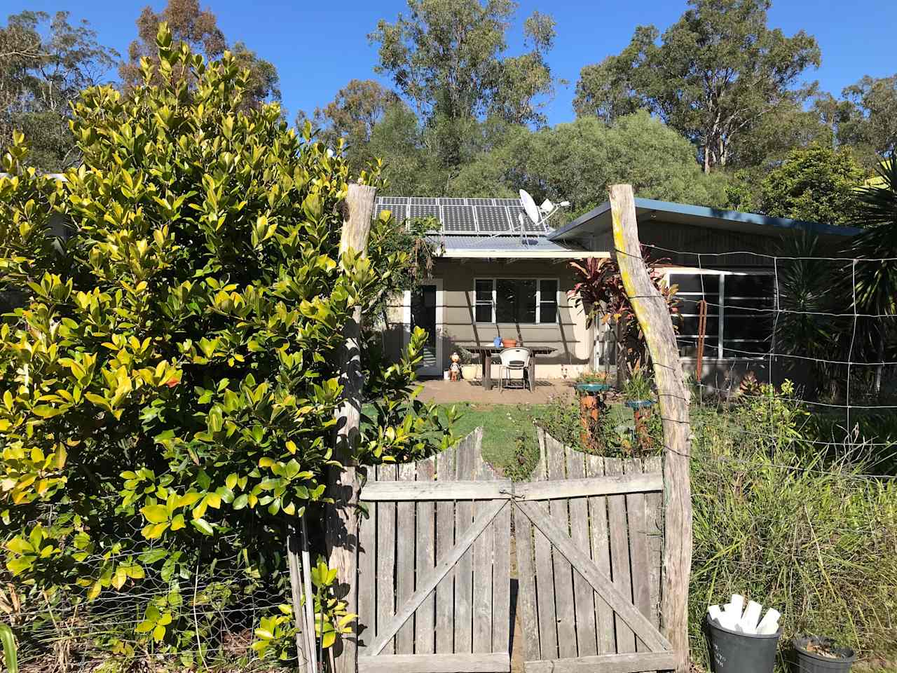 Organic garden at house