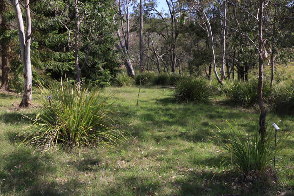 Sit and relax near the creek