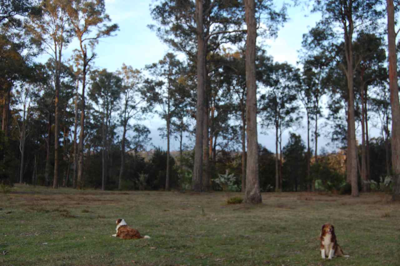 Tomakin River Camping