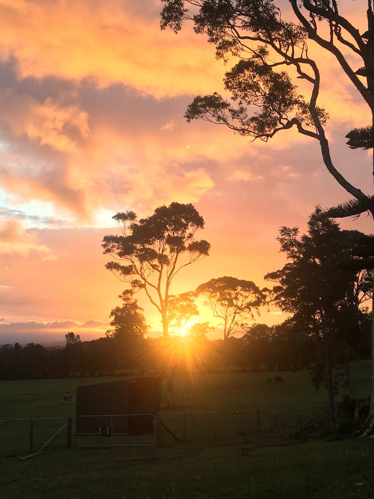 Farmstay sunset 