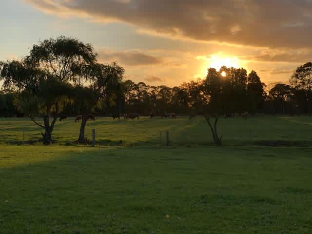 Misty Mountain Farm