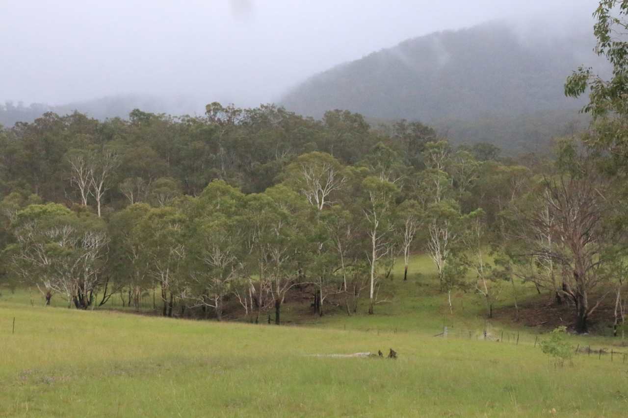 Nyalar Mirunganah Nature Refuge