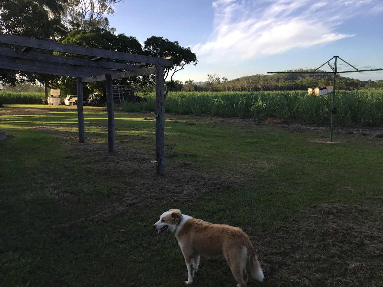 Oh Deere Farm Stay and Sugar Cane Farm