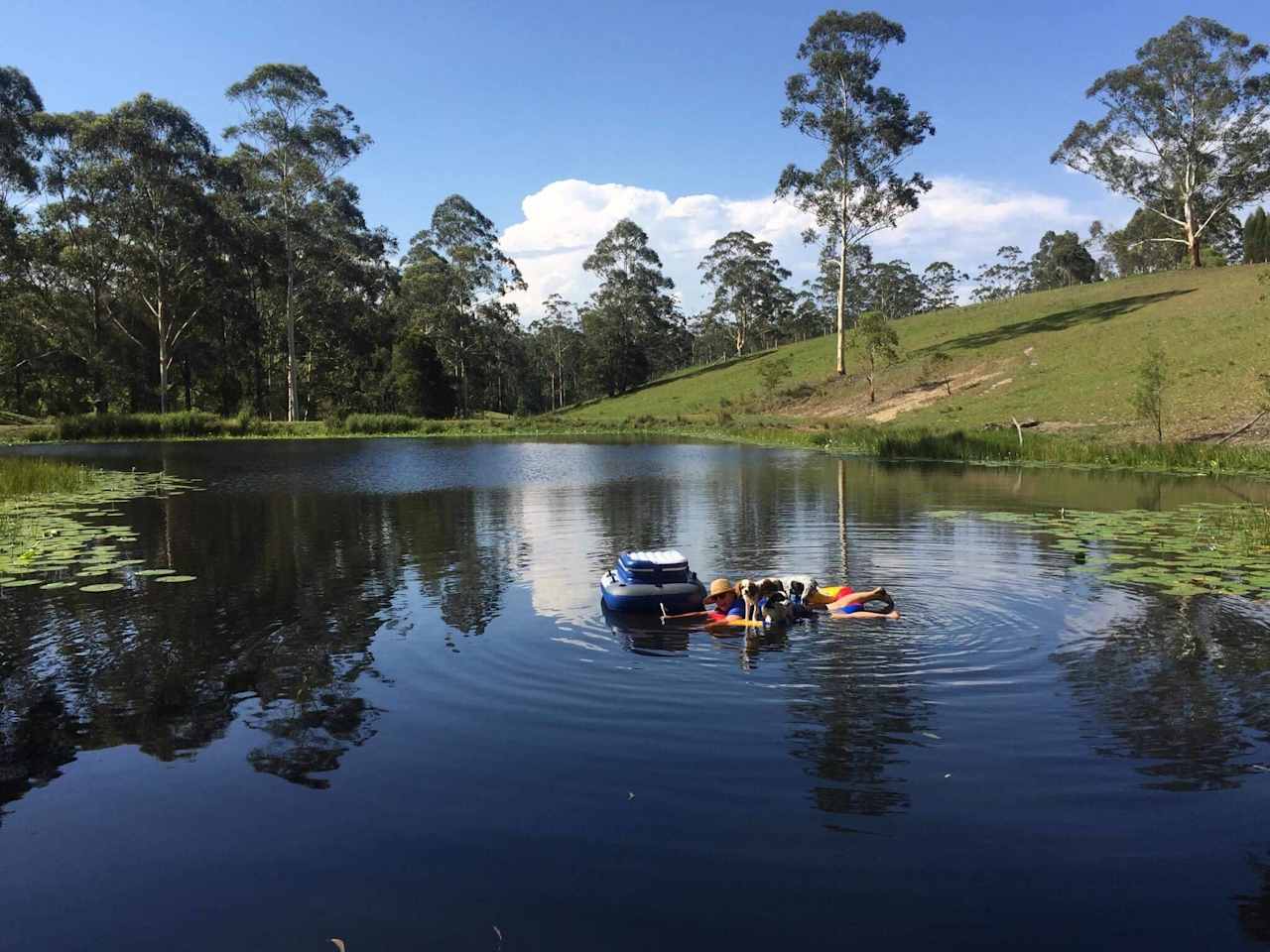 floating devices in the dam