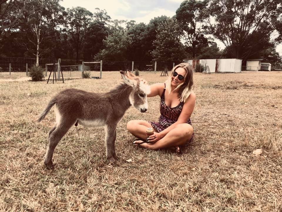 Iron Brook Donkey Farm