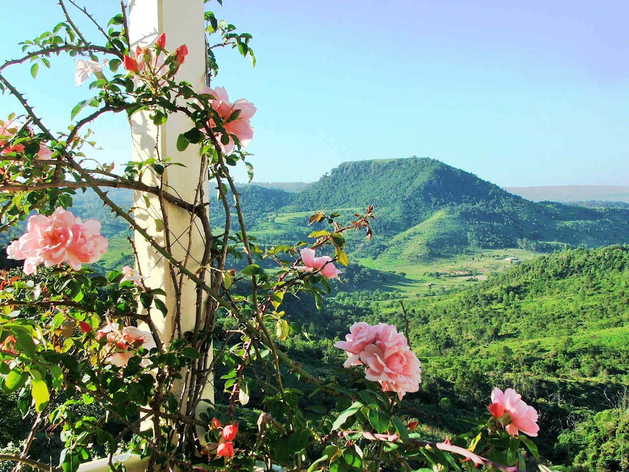 Silver Ridge ( Toowoomba) Hilltop Views