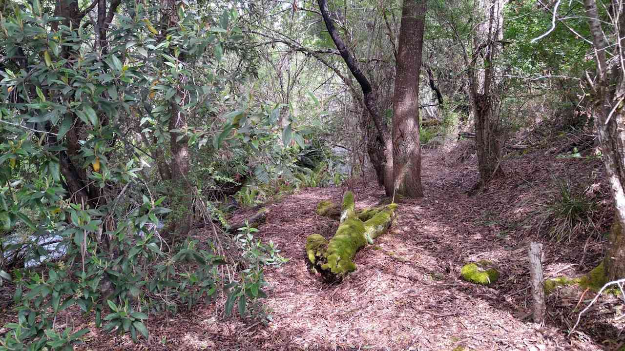 Shundahai, Central Highlands Tasmania