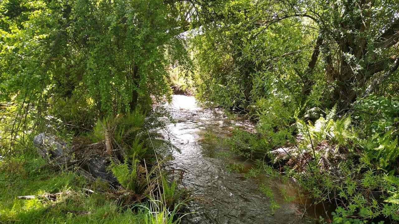 Shundahai, Central Highlands Tasmania