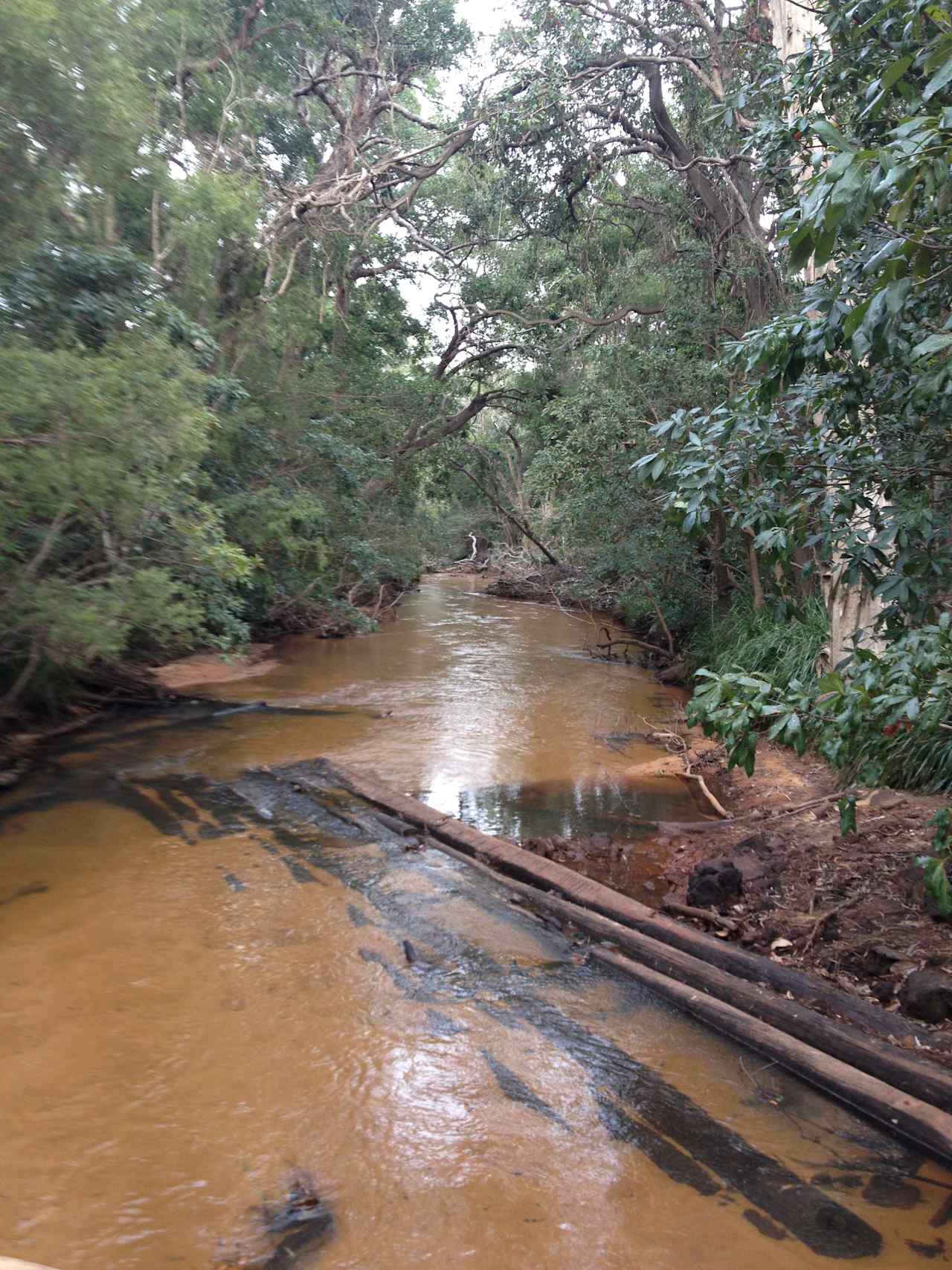 Sandy crystal clear Bridge Ck (the logs are the old bridge from the 1800's)