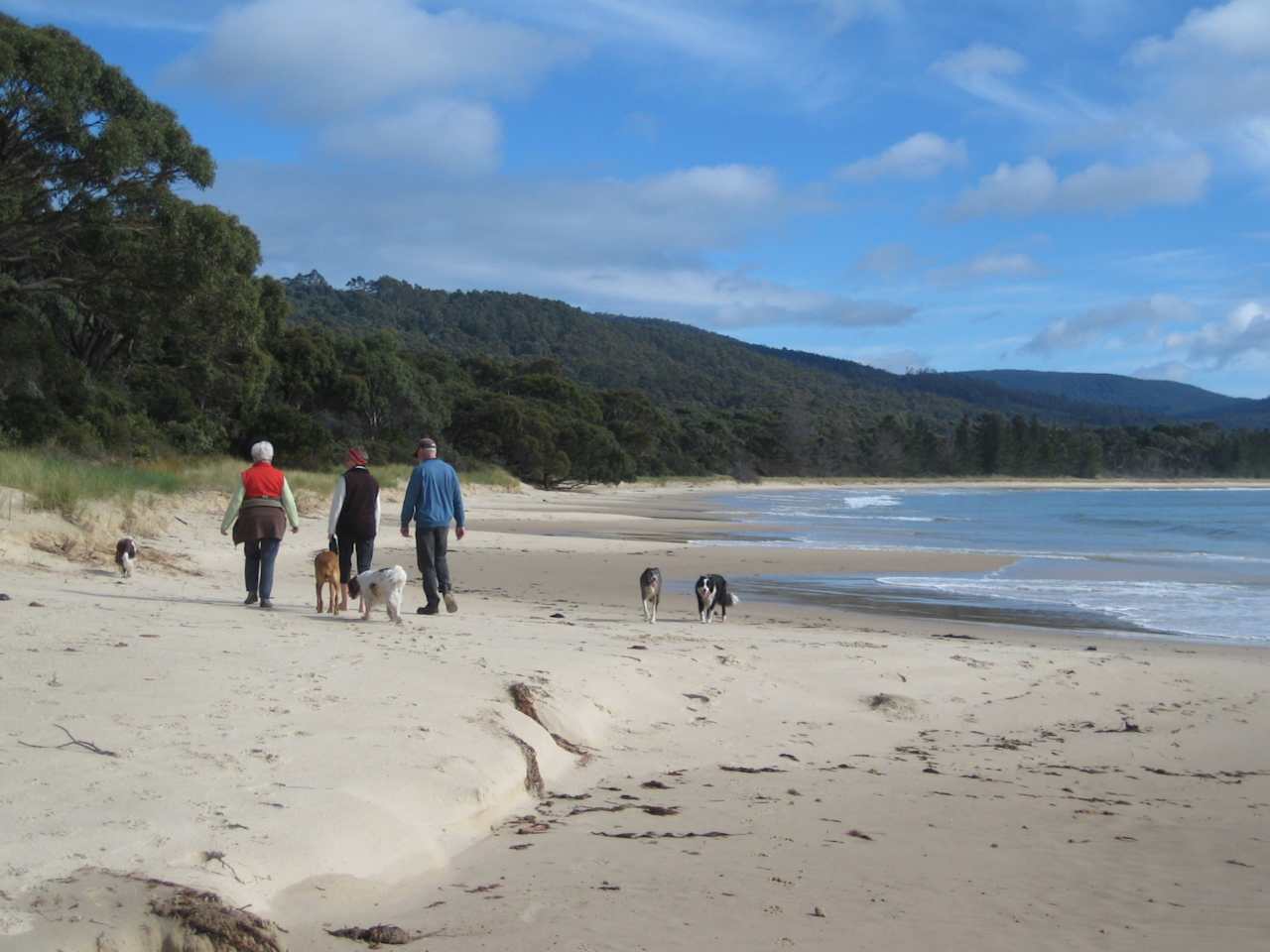 Walking at Safety Cove Beach 5km away.