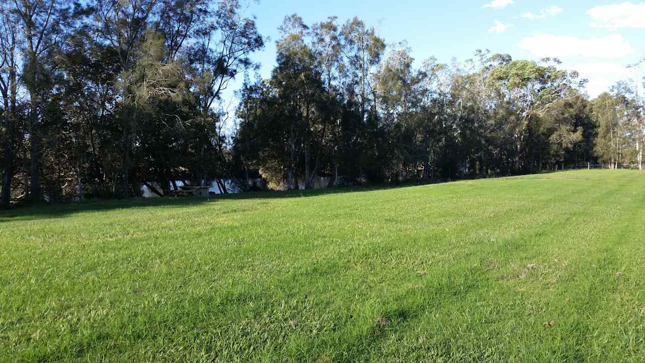 Grass lined river bank for cam