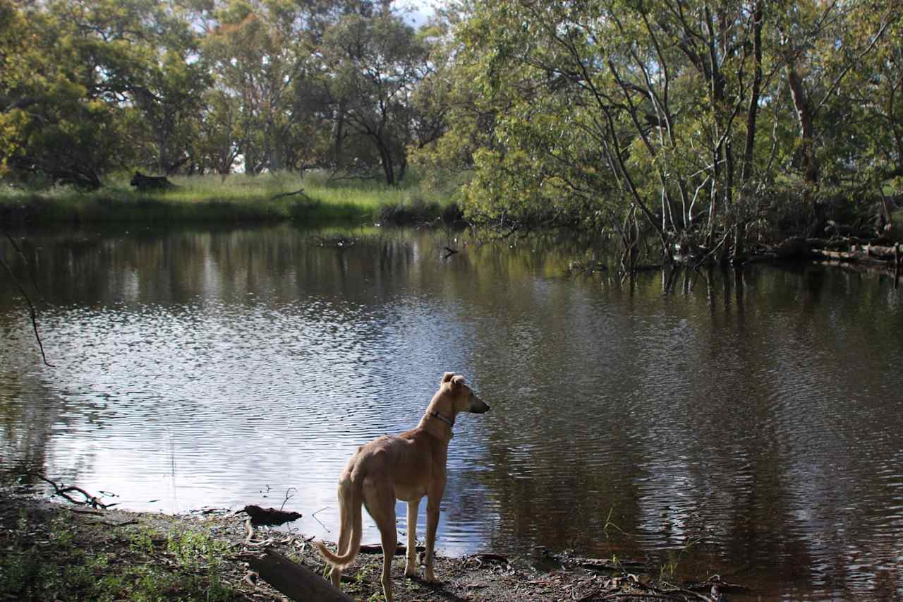 Creek swimming hole