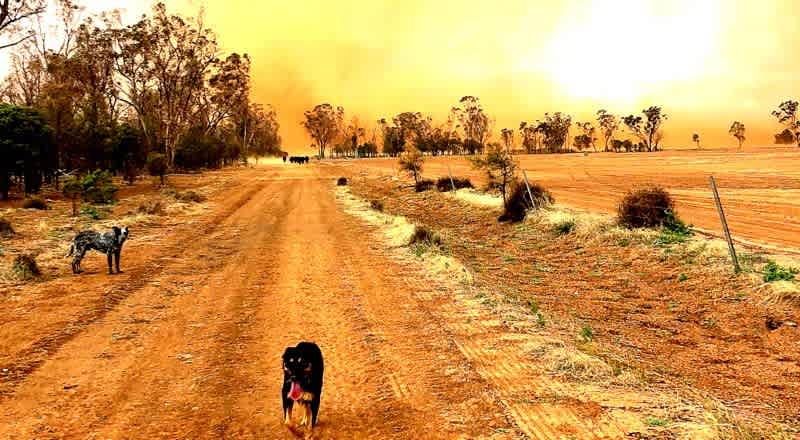 DUST STORM