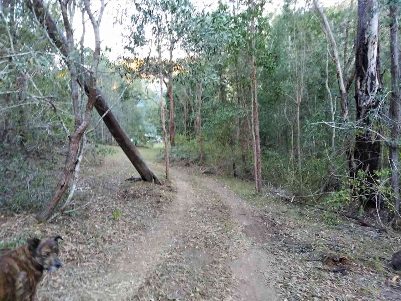 Hidden away at the end of this track is the campsite Hideaway Haven