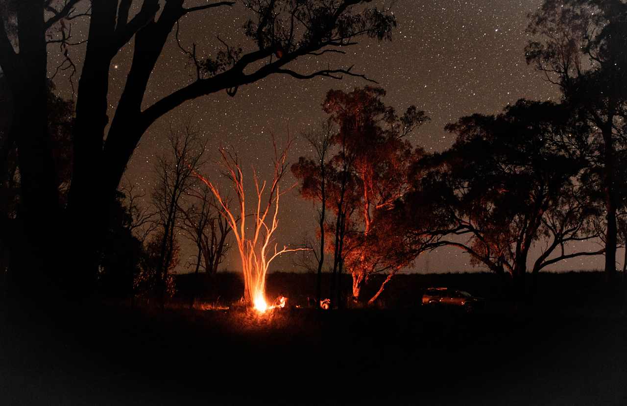 Camp fire and starry nights