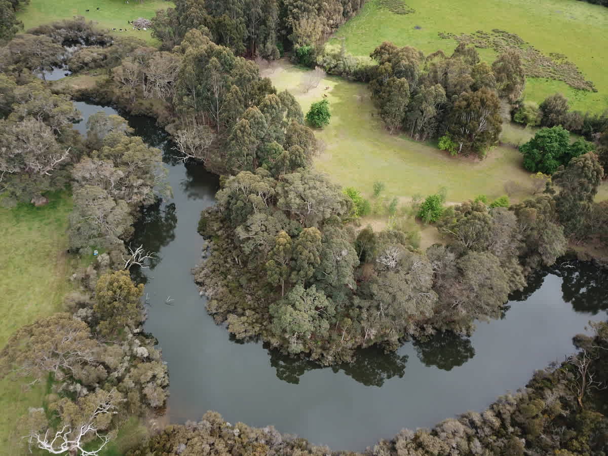 The Margaret River, Olive Hill Farm