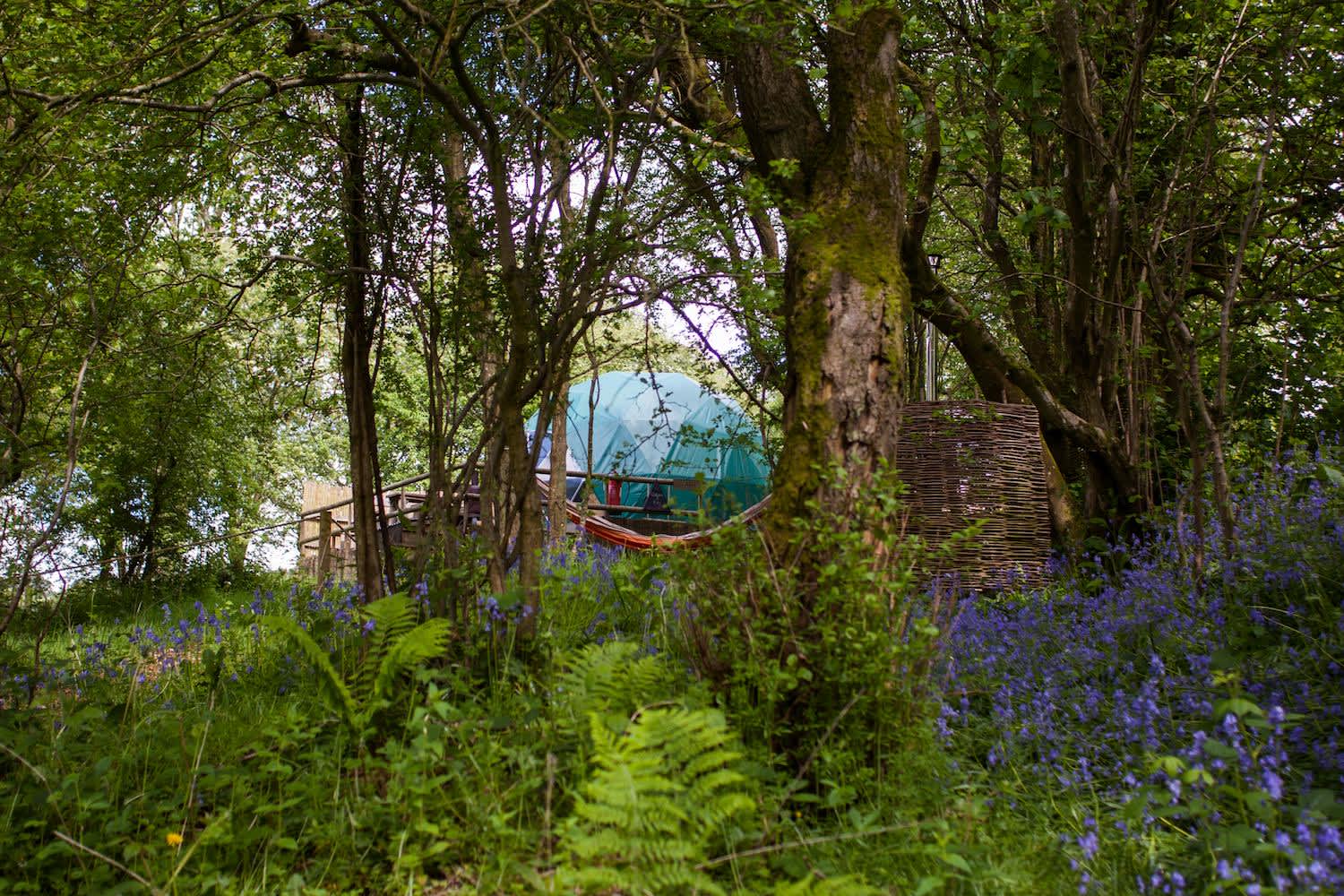 Cosy Under Canvas Hipcamp in Powys, Wales
