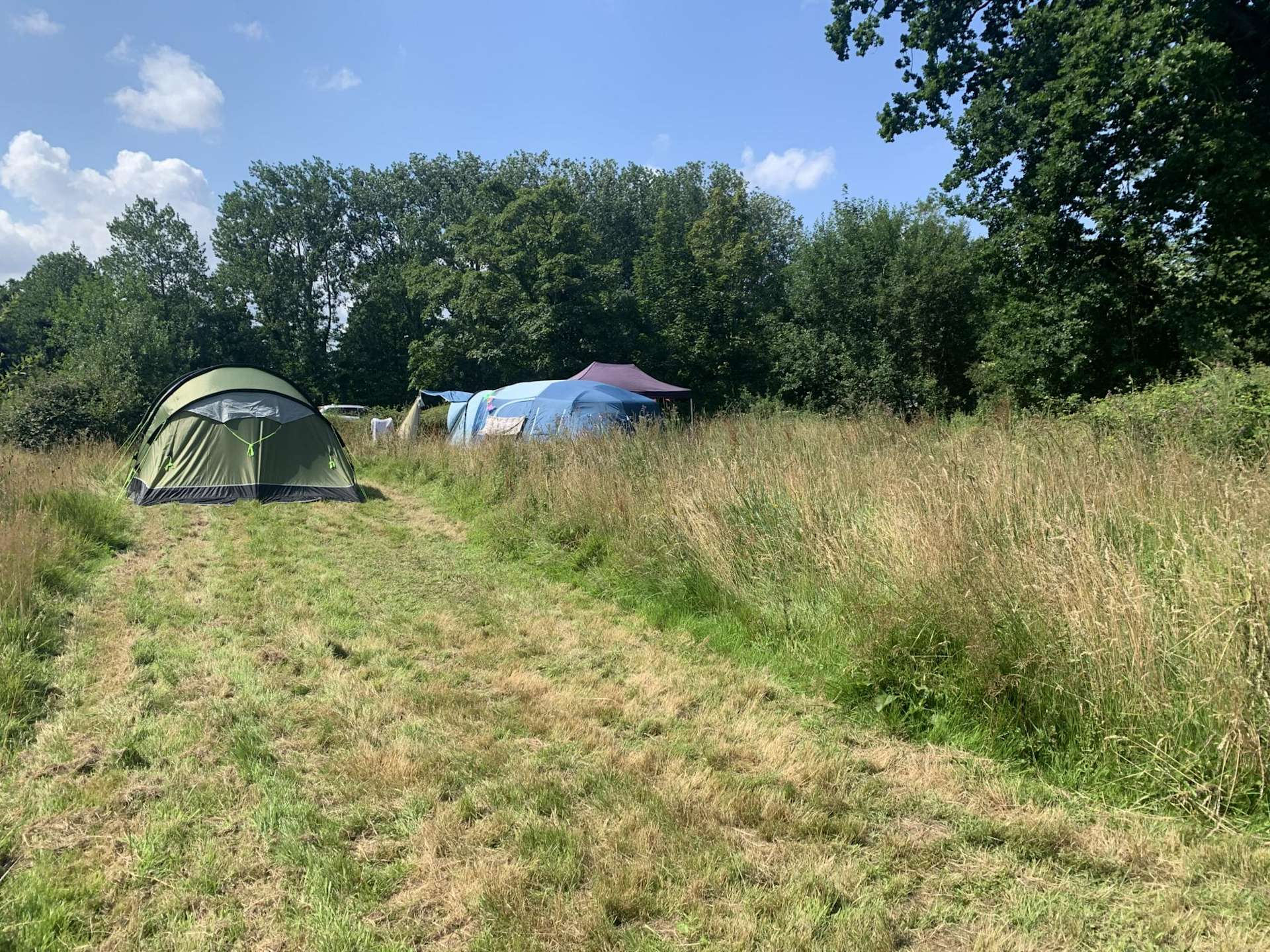 Archer’s Field Hipcamp in Norfolk, England