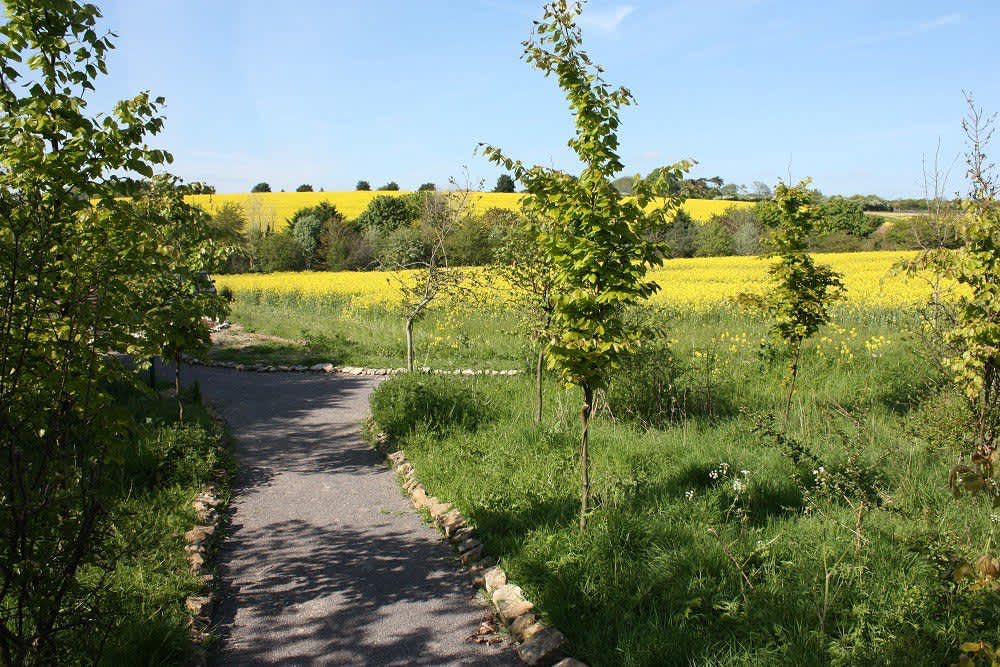 The Chilterns View - Hipcamp in Oxfordshire, England