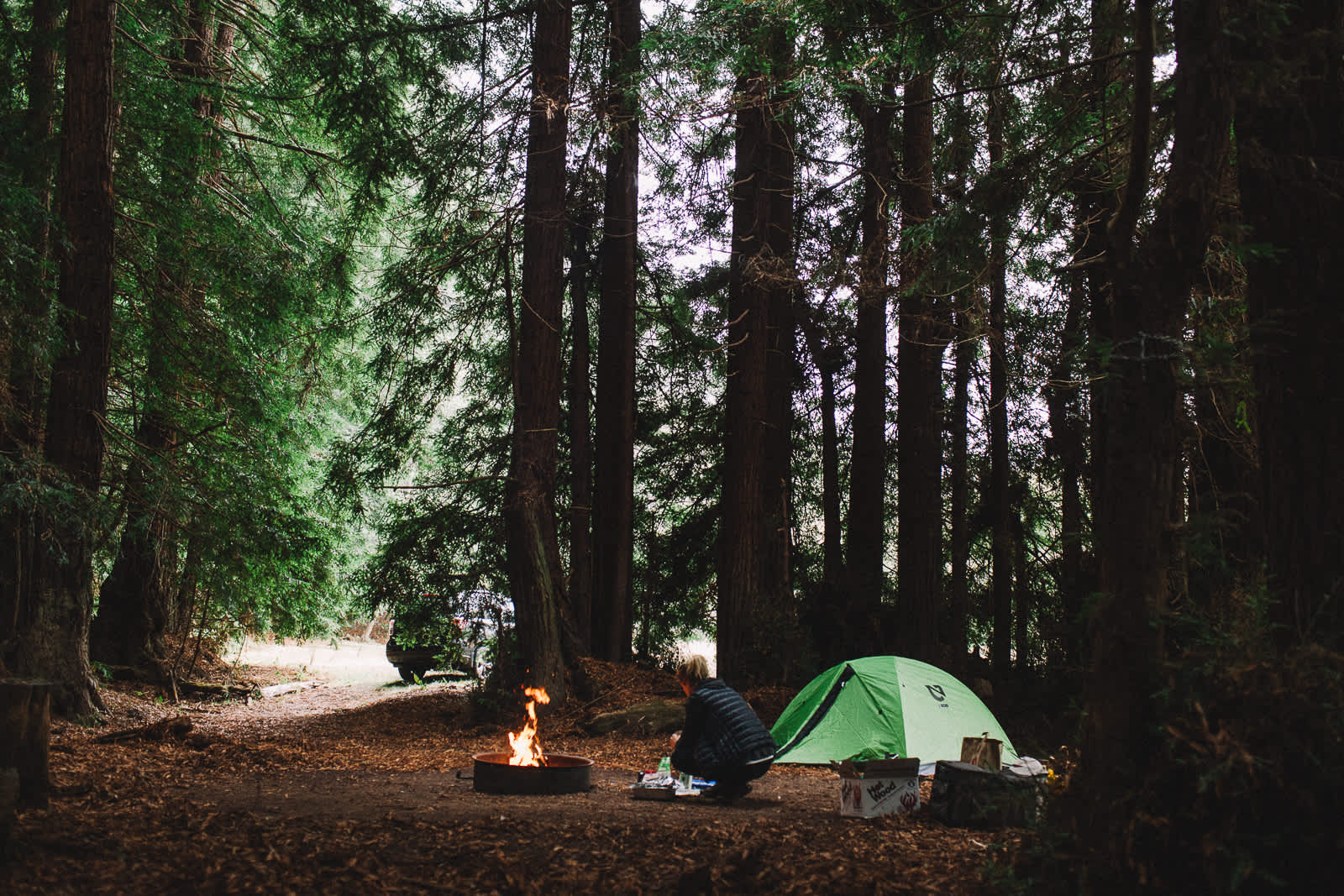 Salmon Creek Ranch - Hipcamp in Bodega Bay, California