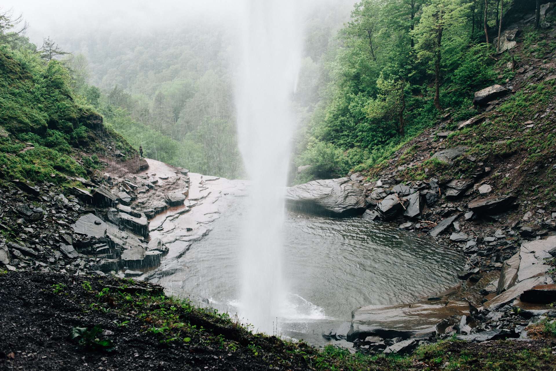 Honey Hollow Farmstay Hipcamp in Earlton, New York