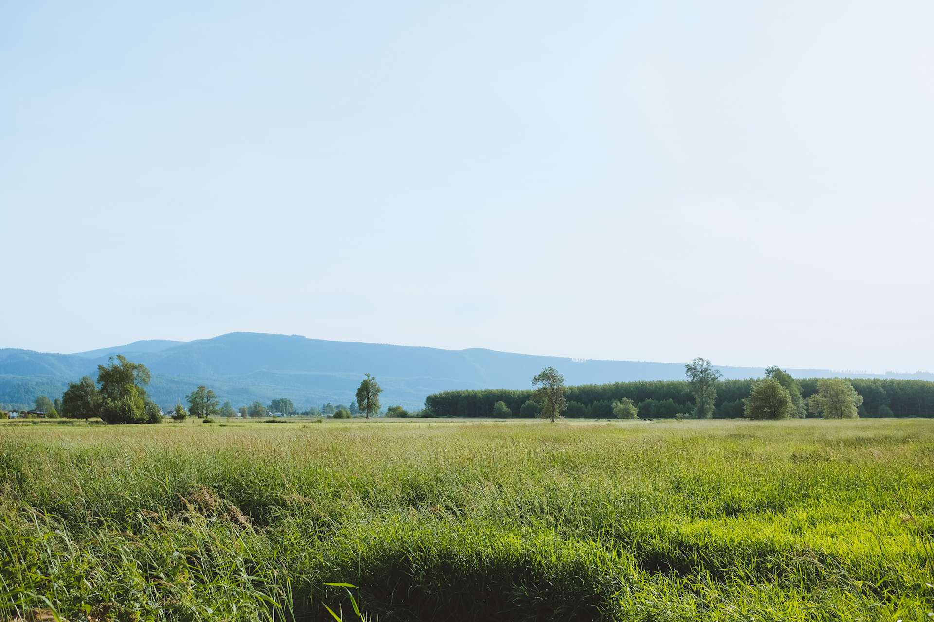 Slow Boat Farm Island Camping Hipcamp in Cathlamet, Washington