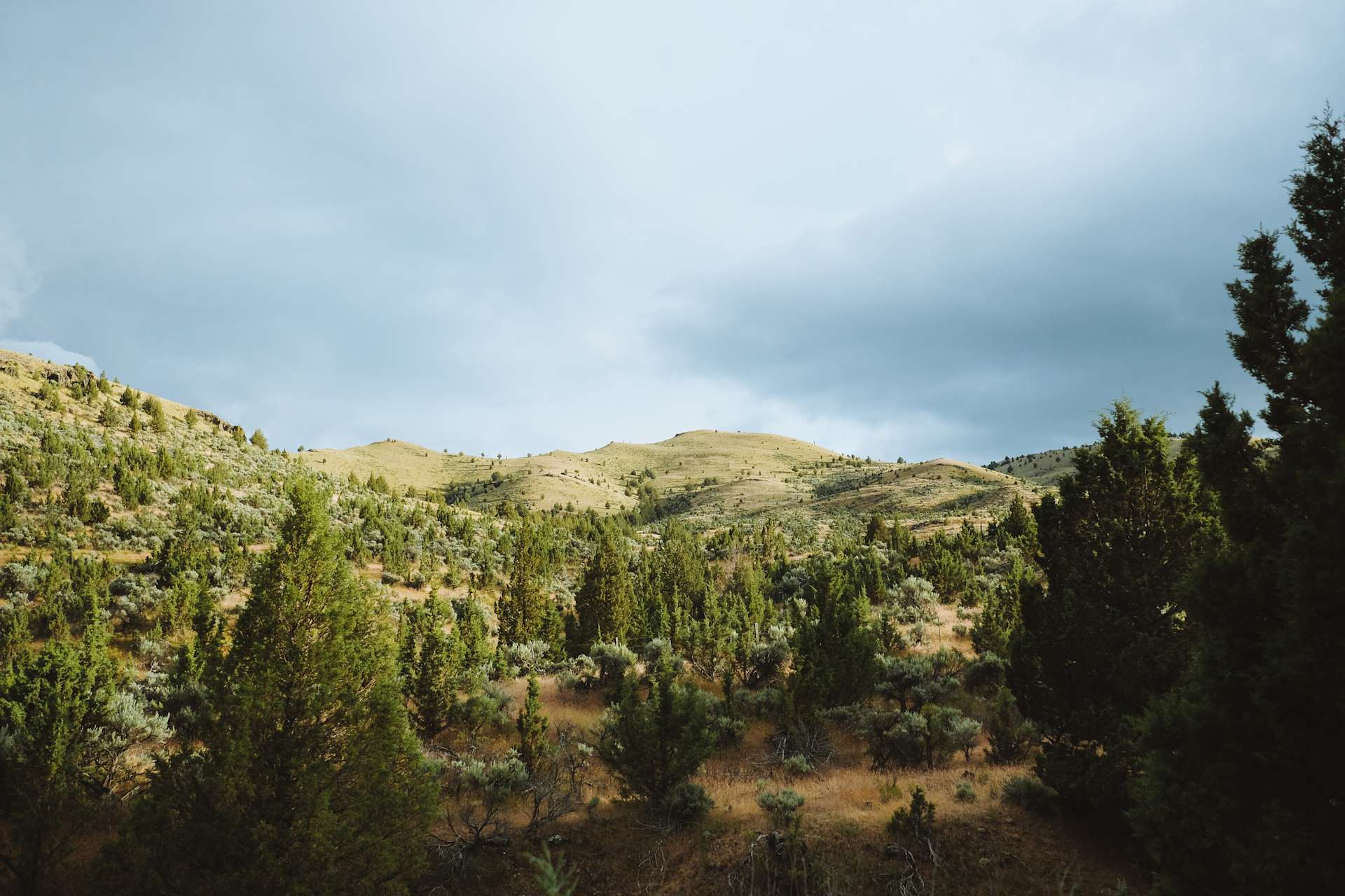 Guyon Springs Hipcamp in Dayville, Oregon