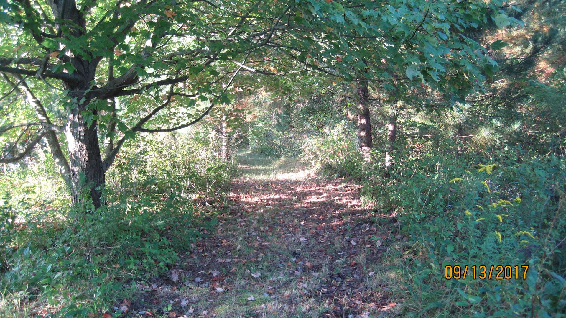 EarthSong Hipcamp in Fort Plain, New York