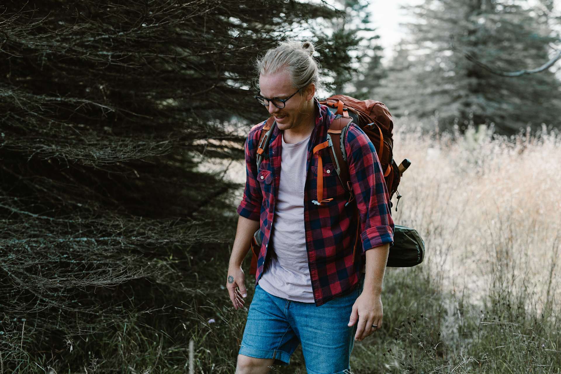 Camp Stonewood Ranch Hipcamp in Fife Lake, Michigan