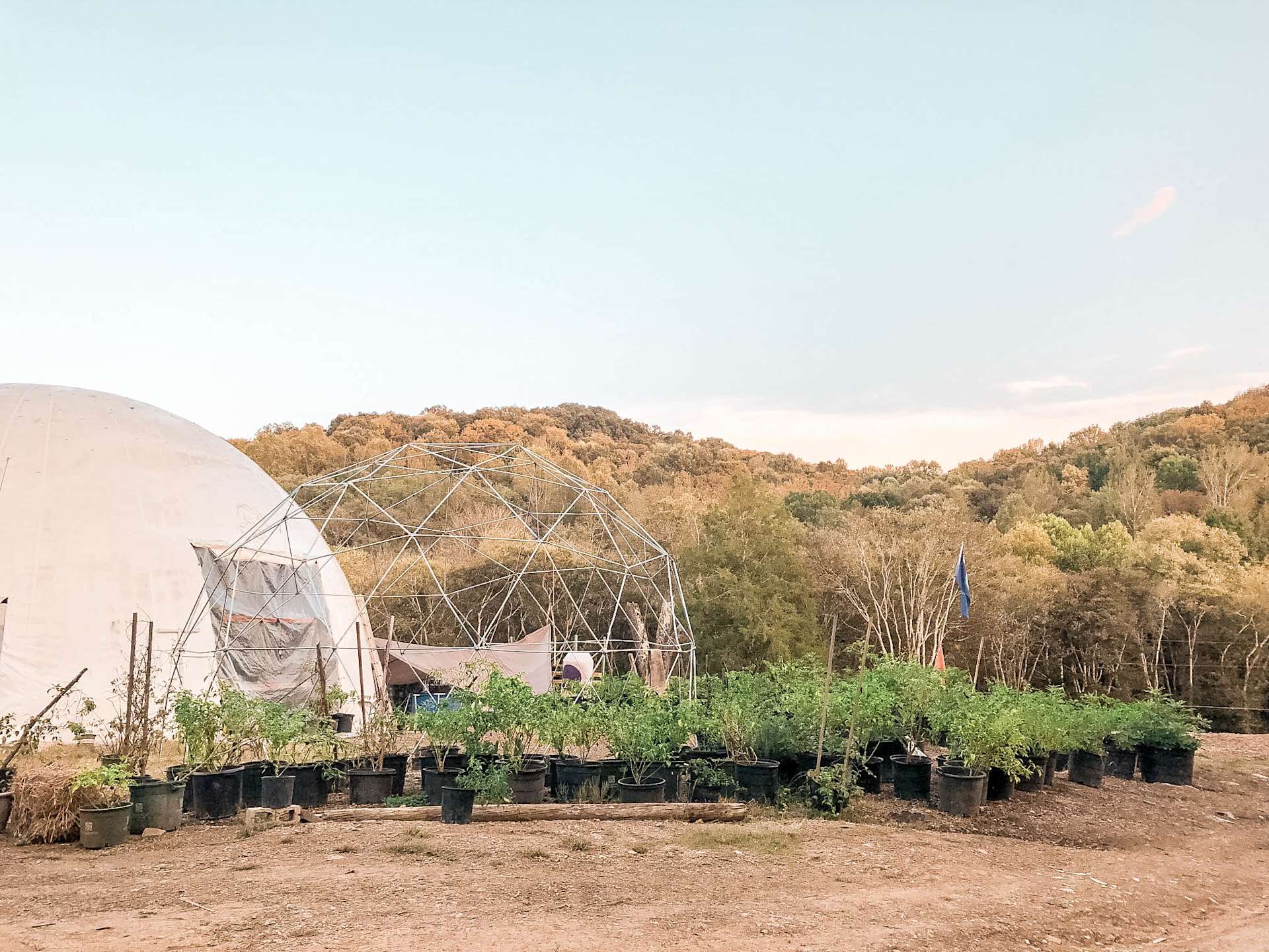 Aspiring orchard farm woods/ Fields Hipcamp in Nashville , Tennessee