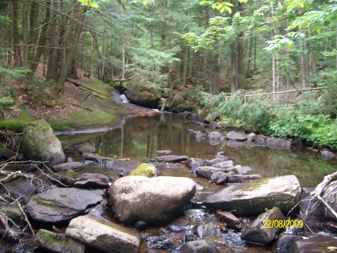 North River Woods & Waterfalls Hipcamp in Indian Lake, New York
