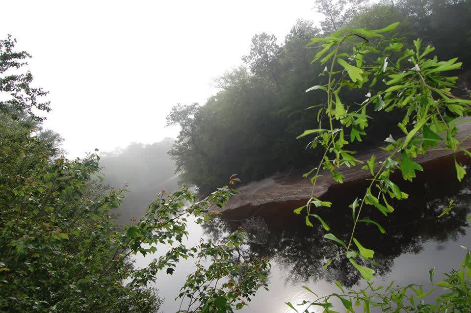 Escatawpa River Campground Hipcamp in Citronelle, Alabama