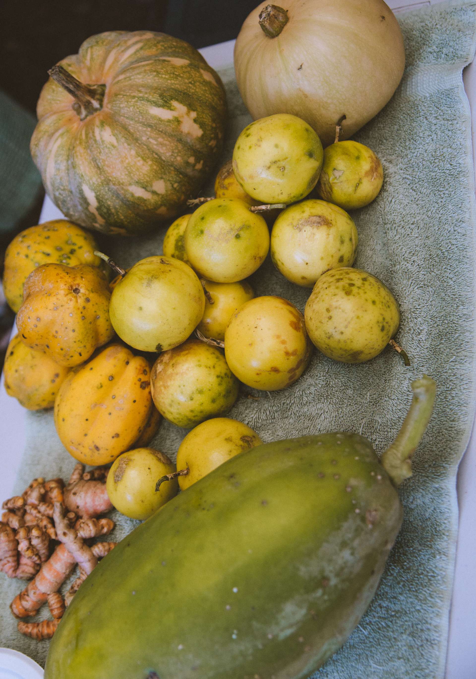 Goat With The Flow Farm Hipcamp in Pahoa, Hawaii