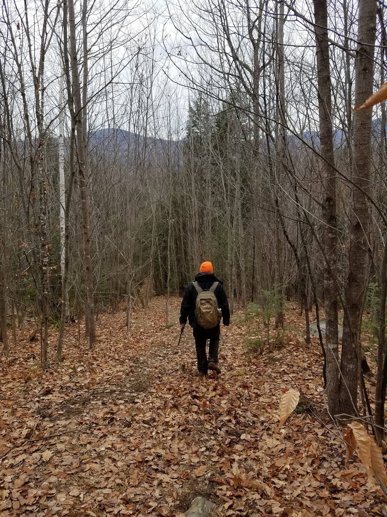 Hillside Valley Camp Hipcamp in Wilton, Maine