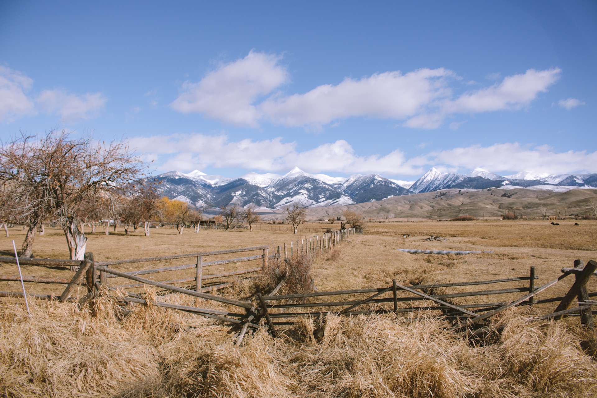 The Meadow - Hipcamp in Carmen, Idaho