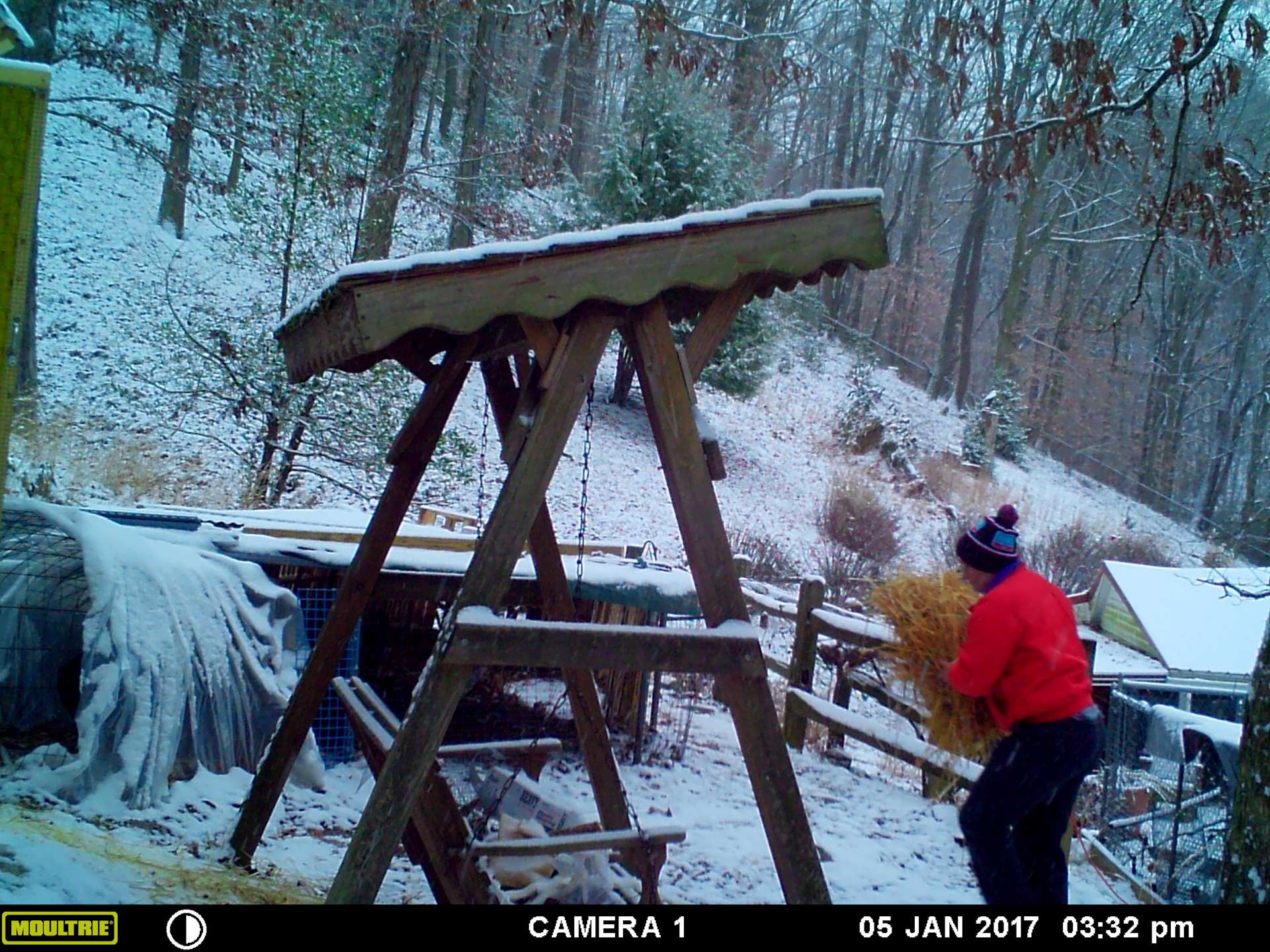 Holler life in WVa hills Hipcamp in Charleston, West Virginia