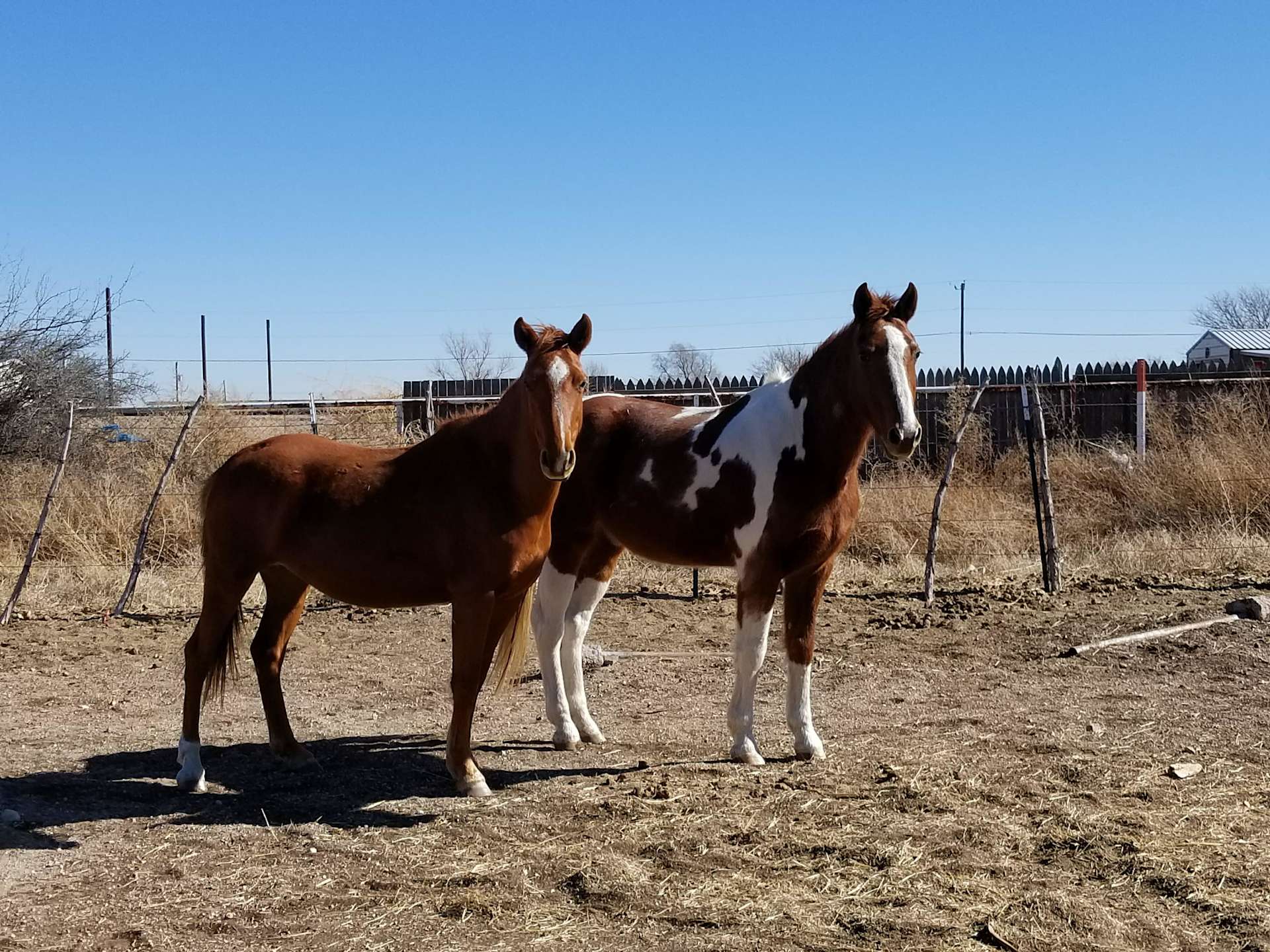 The Oasis Retreat Hipcamp in El Indio, Texas