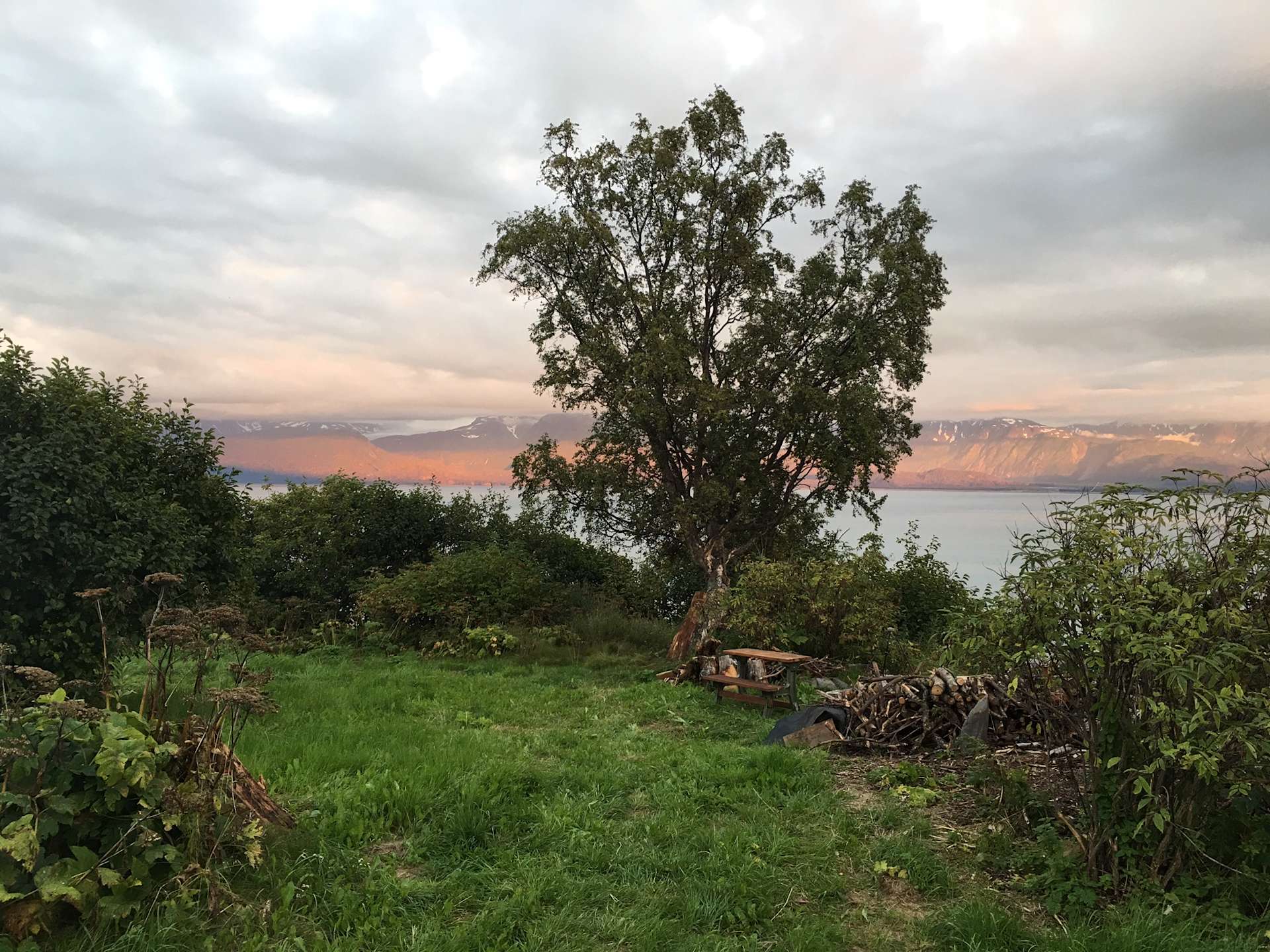 Kilcher Homestead MiracleMeadow Hipcamp in Homer, Alaska